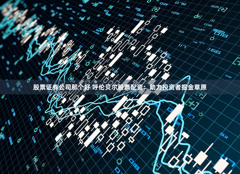 股票证券公司那个好 呼伦贝尔股票配资：助力投资者掘金草原