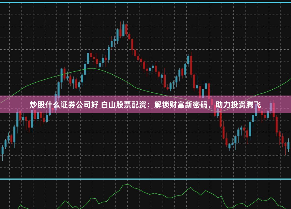 炒股什么证券公司好 白山股票配资：解锁财富新密码，助力投资腾飞